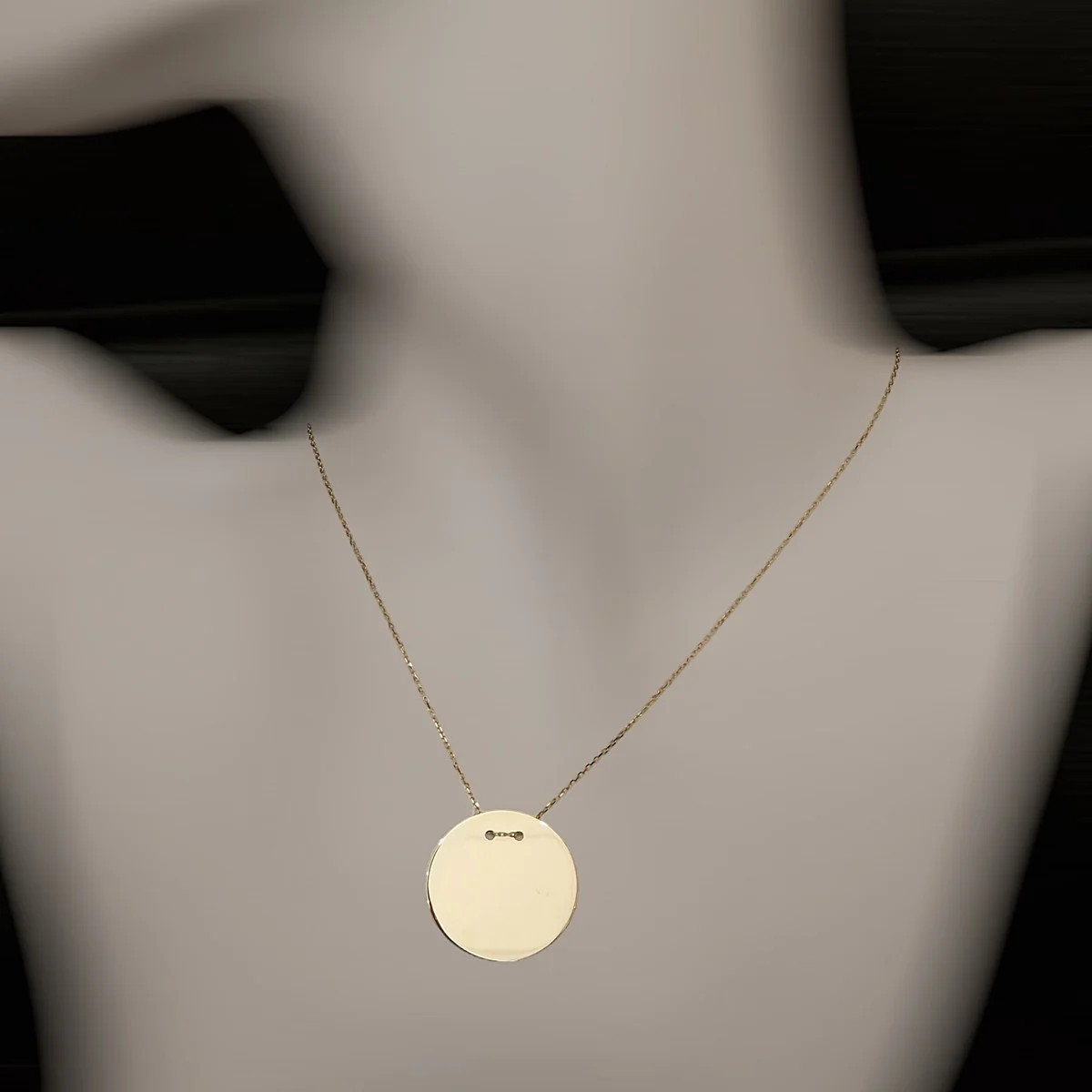 Gouden Ketting met Graveerplaat Rond 24 mm 14 karaats - Afbeelding 2